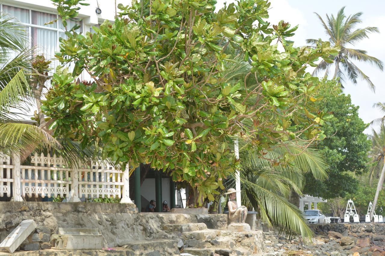 Sayurima Beach Hotel Ahangama Dış mekan fotoğraf